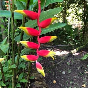 Meet your Posher, Felicia